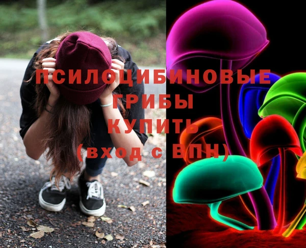 крисы Бугульма