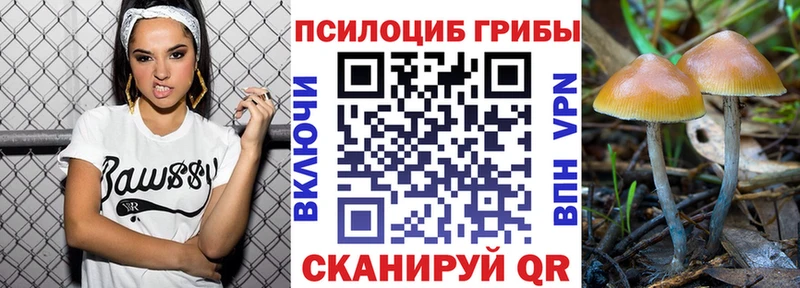 Галлюциногенные грибы прущие грибы  Санкт-Петербург 